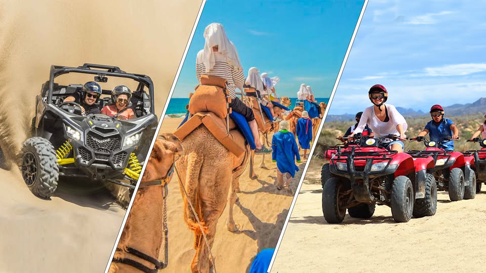 All In One Cabo activities and tours